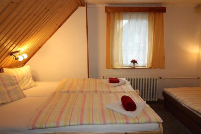 Hotel-Penzion Johanka Haj  Ngoại thất bức ảnh